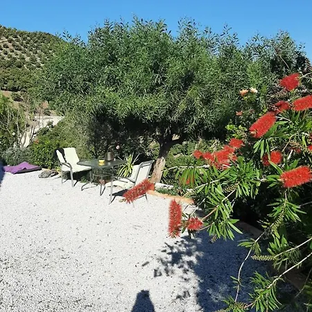 Casa Capricorn شاليه *
